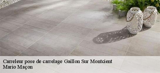 Carreleur pose de carrelage  78250